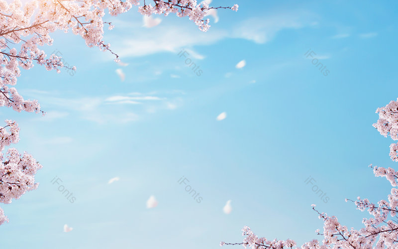 文艺|清新